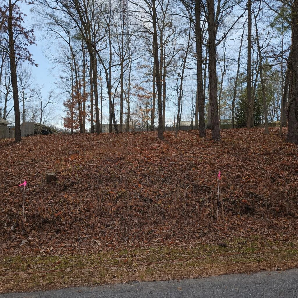 Lot 59 Macgregor DR - Photo 6