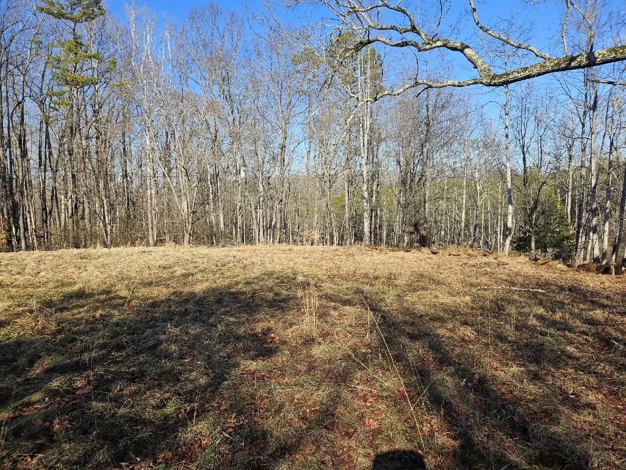 3793 SMITH MOUNTAIN LAKE PKWY - Photo 21