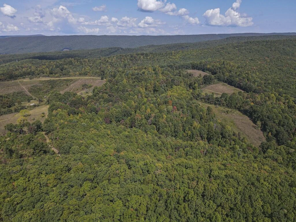 TBD Flat Top RD