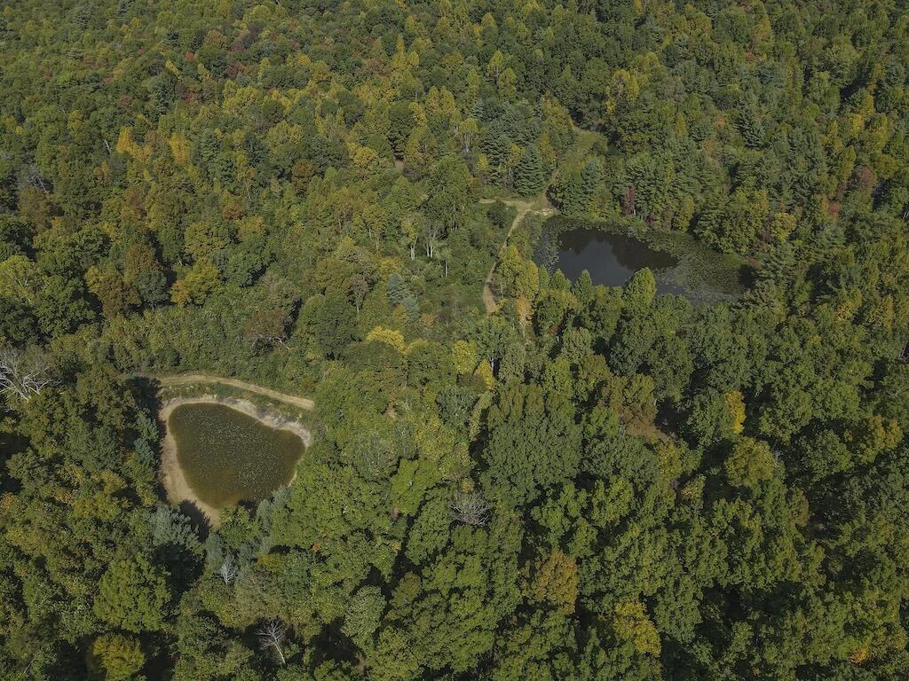 TBD Flat Top RD - Photo 15