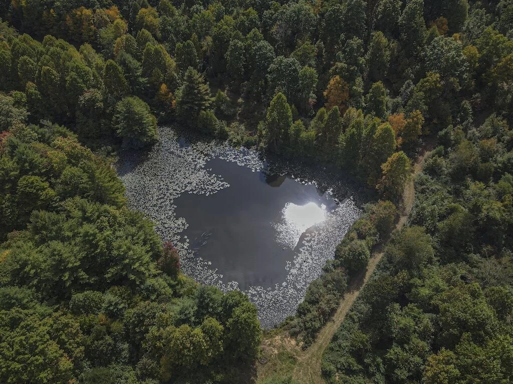 TBD Flat Top RD - Photo 18
