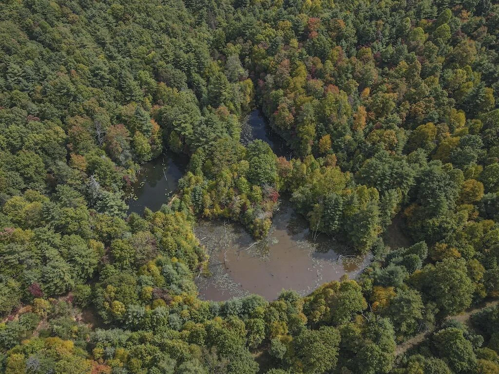 TBD Flat Top RD - Photo 19