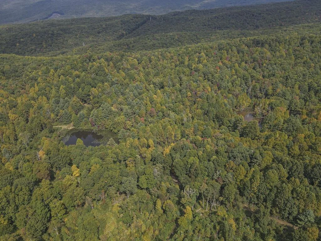 TBD Flat Top RD - Photo 24