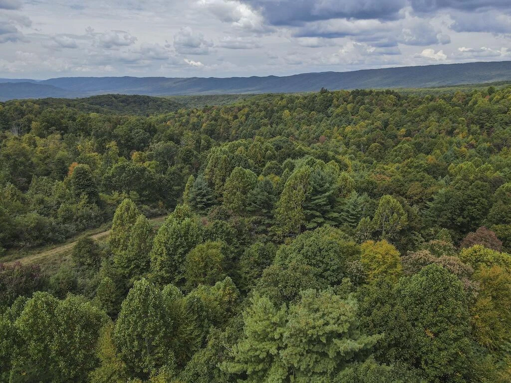 TBD Flat Top RD - Photo 42