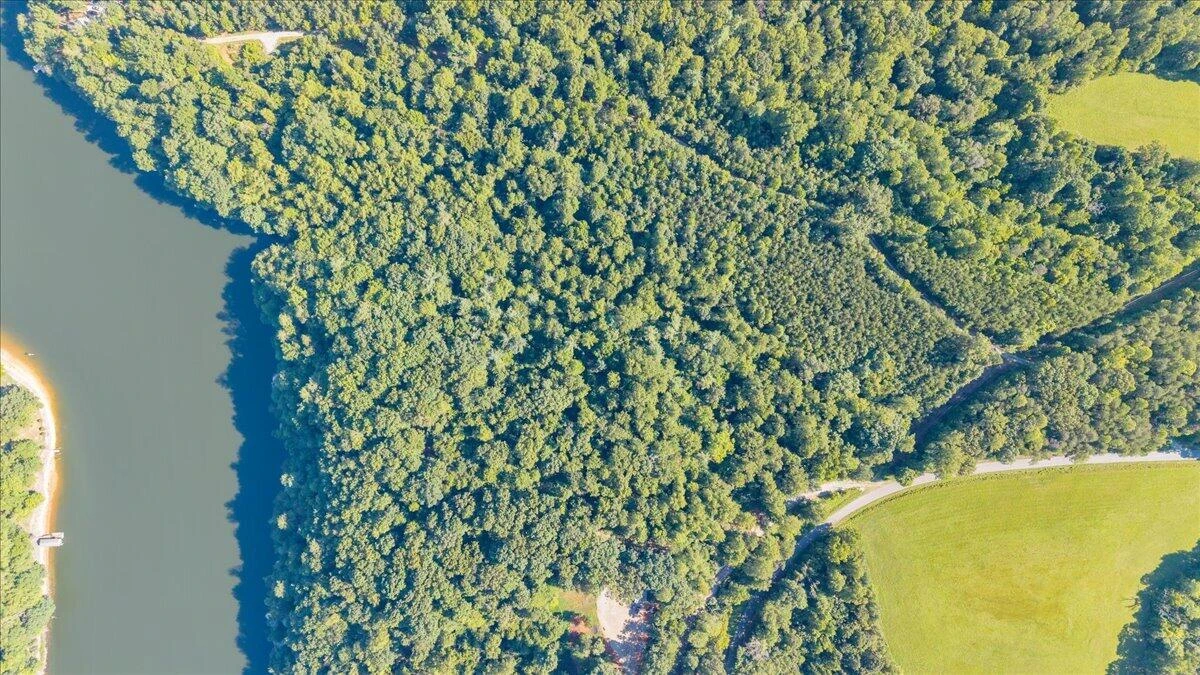 00 Thomason LN - Photo 9