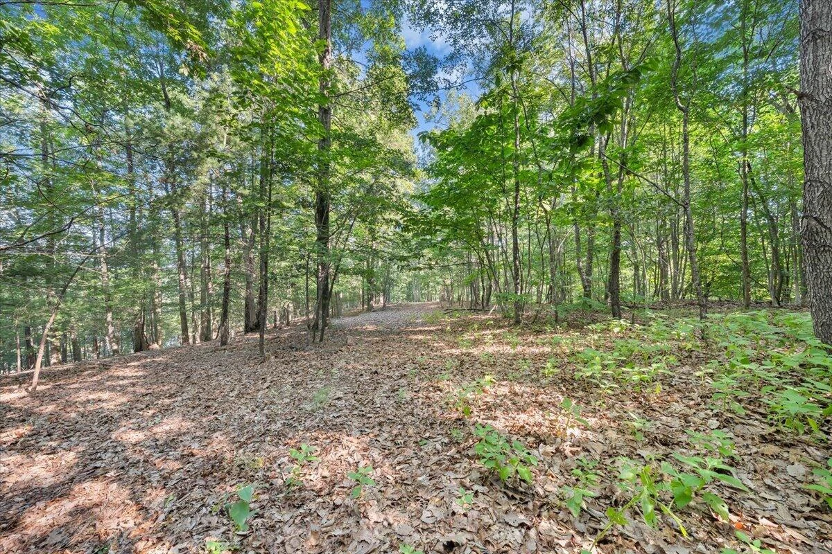 00 Thomason LN - Photo 17