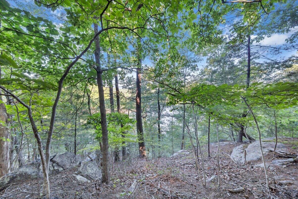 00 Thomason LN - Photo 18