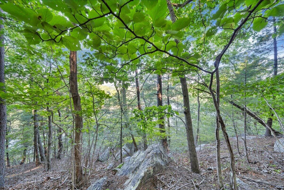 00 Thomason LN - Photo 19