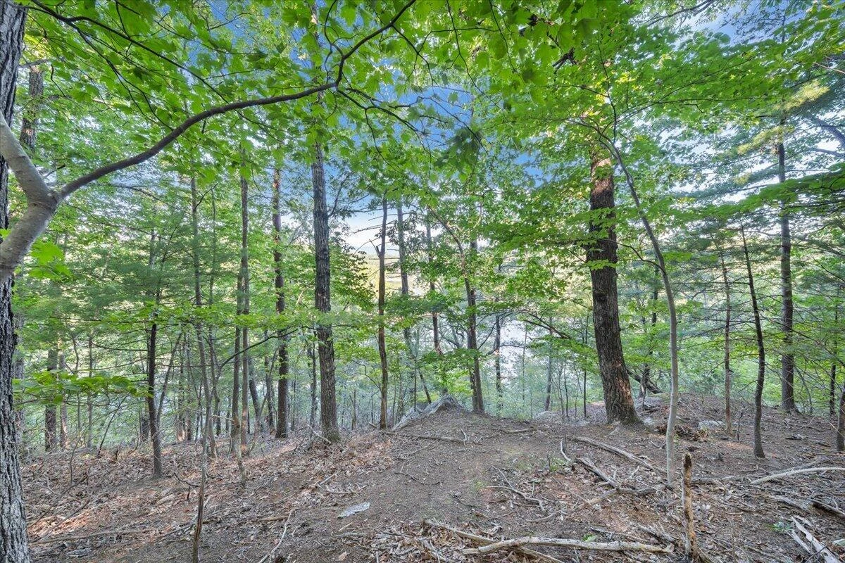 00 Thomason LN - Photo 20
