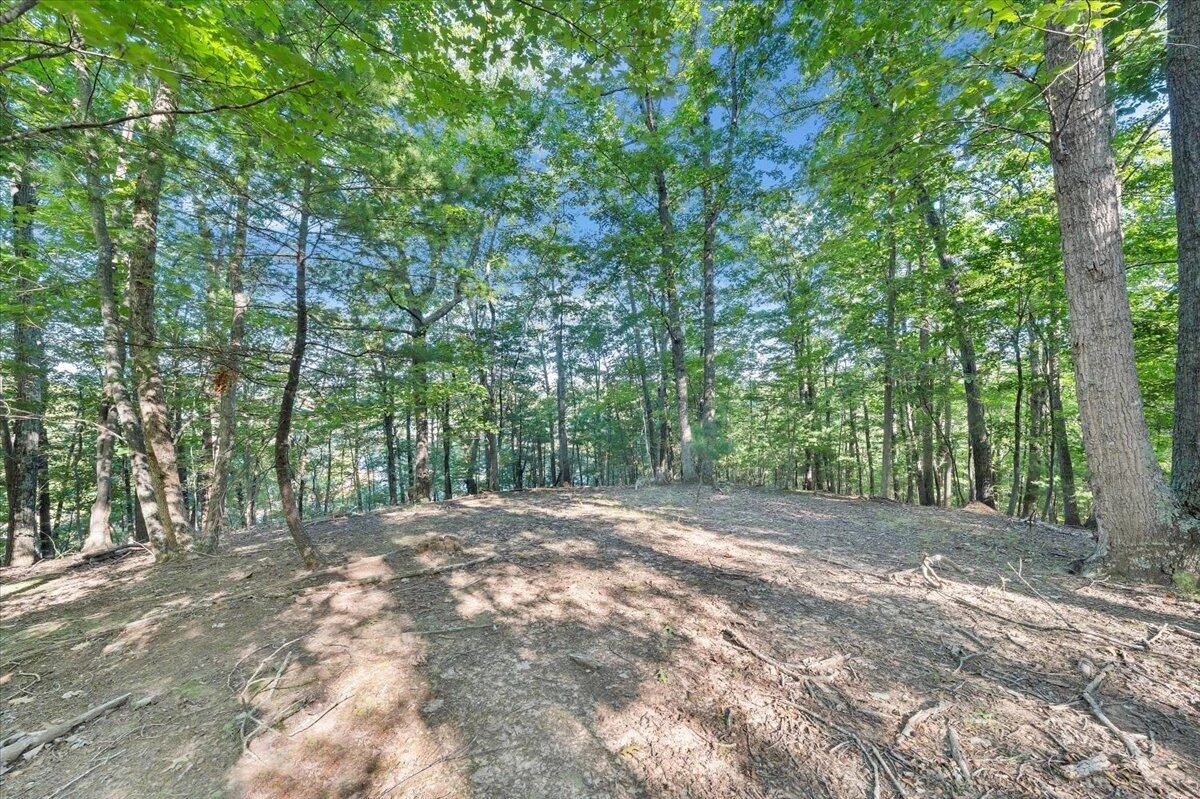 00 Thomason LN - Photo 21