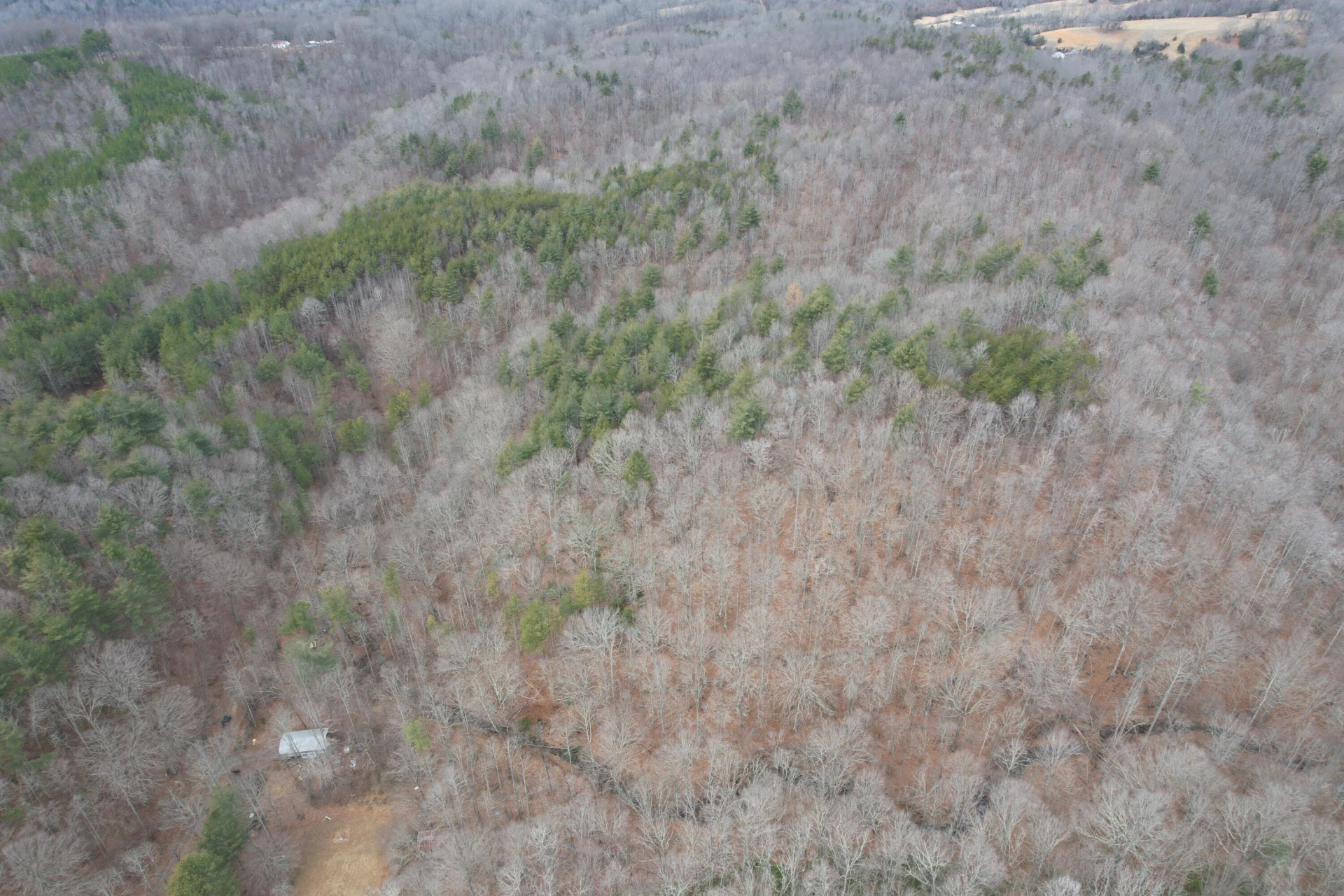 0 Carson DR - Photo 13