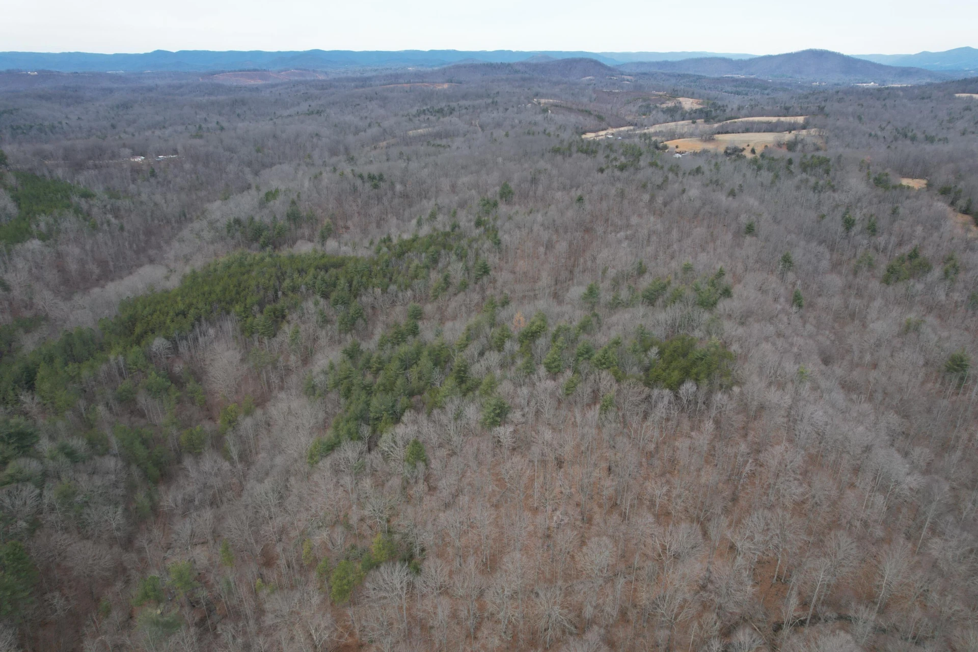0 Carson DR - Photo 14