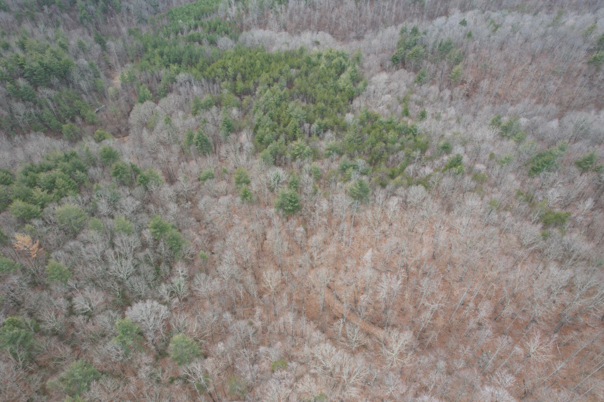 0 Carson DR - Photo 17
