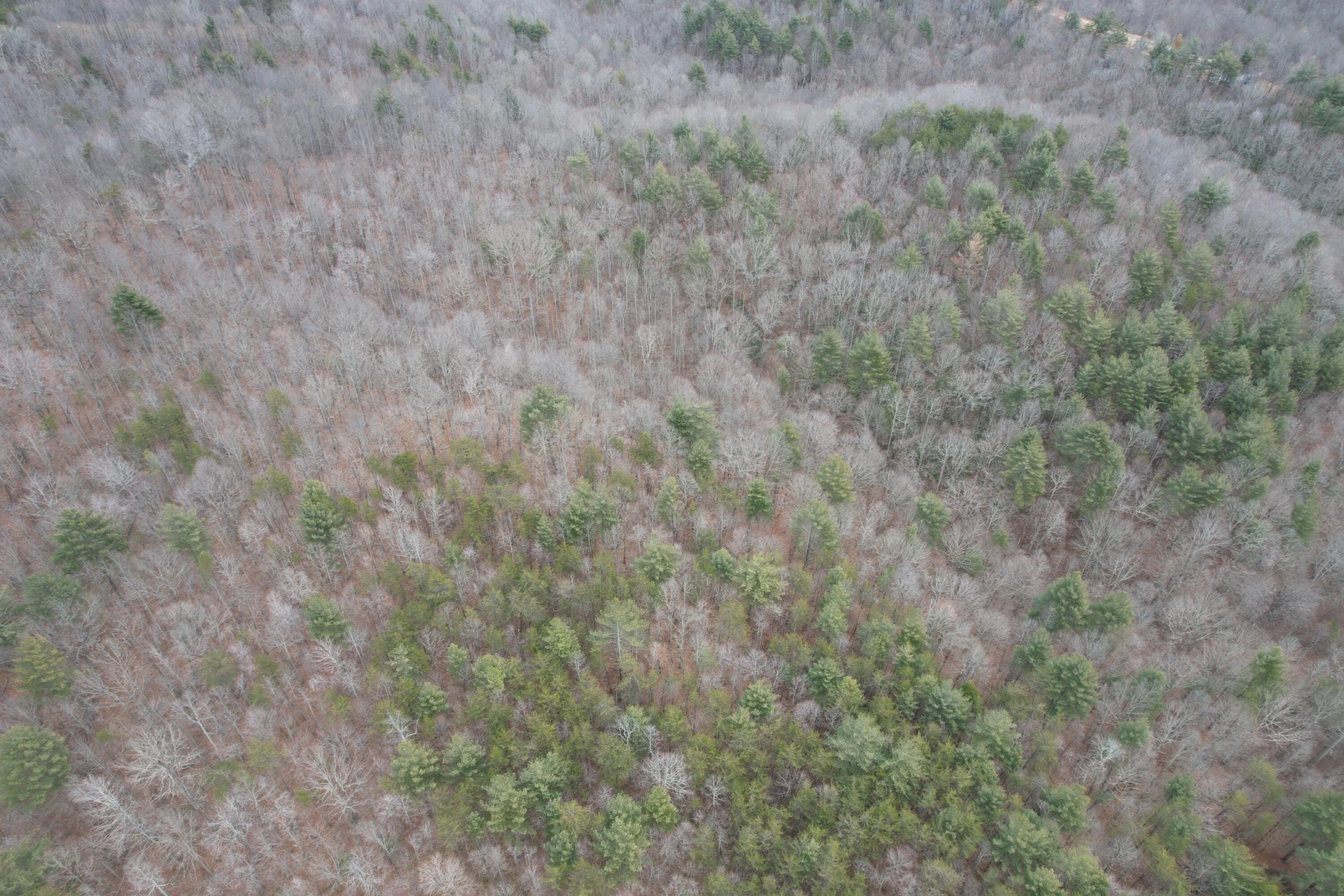 0 Carson DR - Photo 20