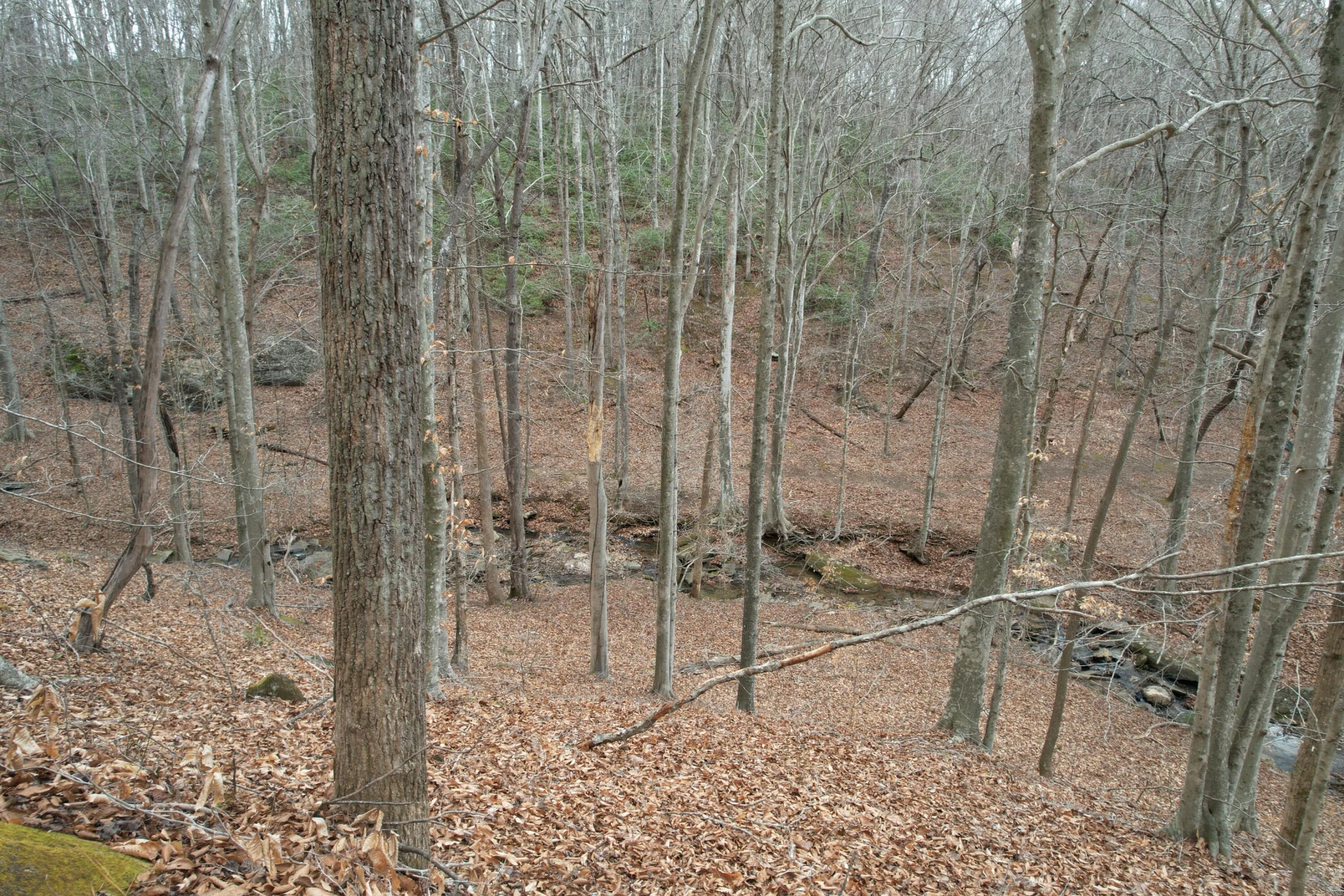 0 Carson DR - Photo 28