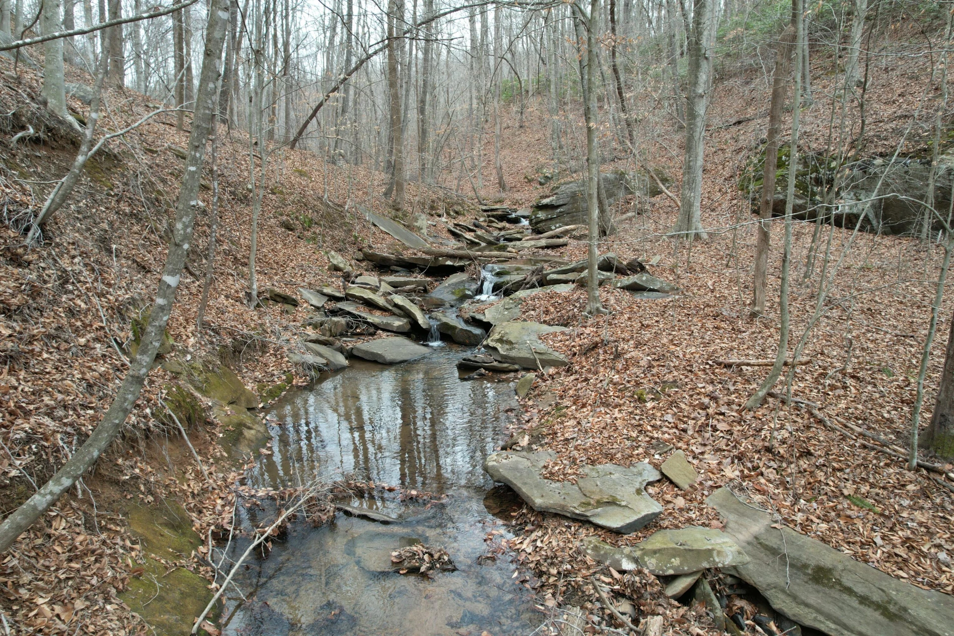 0 Carson DR - Photo 3