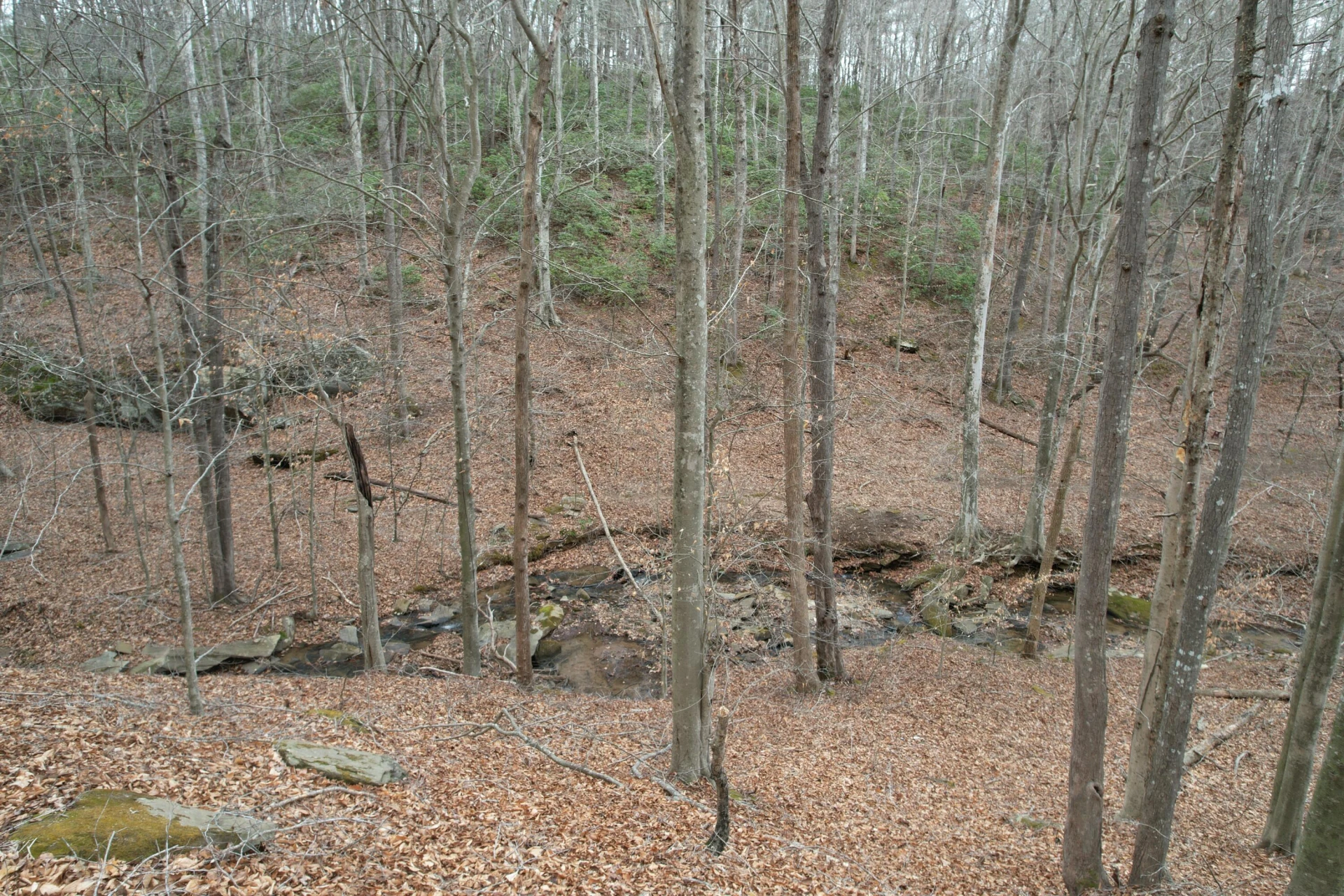 0 Carson DR - Photo 34