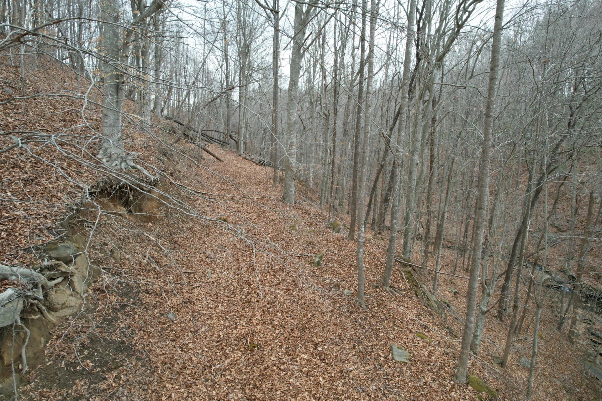 0 Carson DR - Photo 35