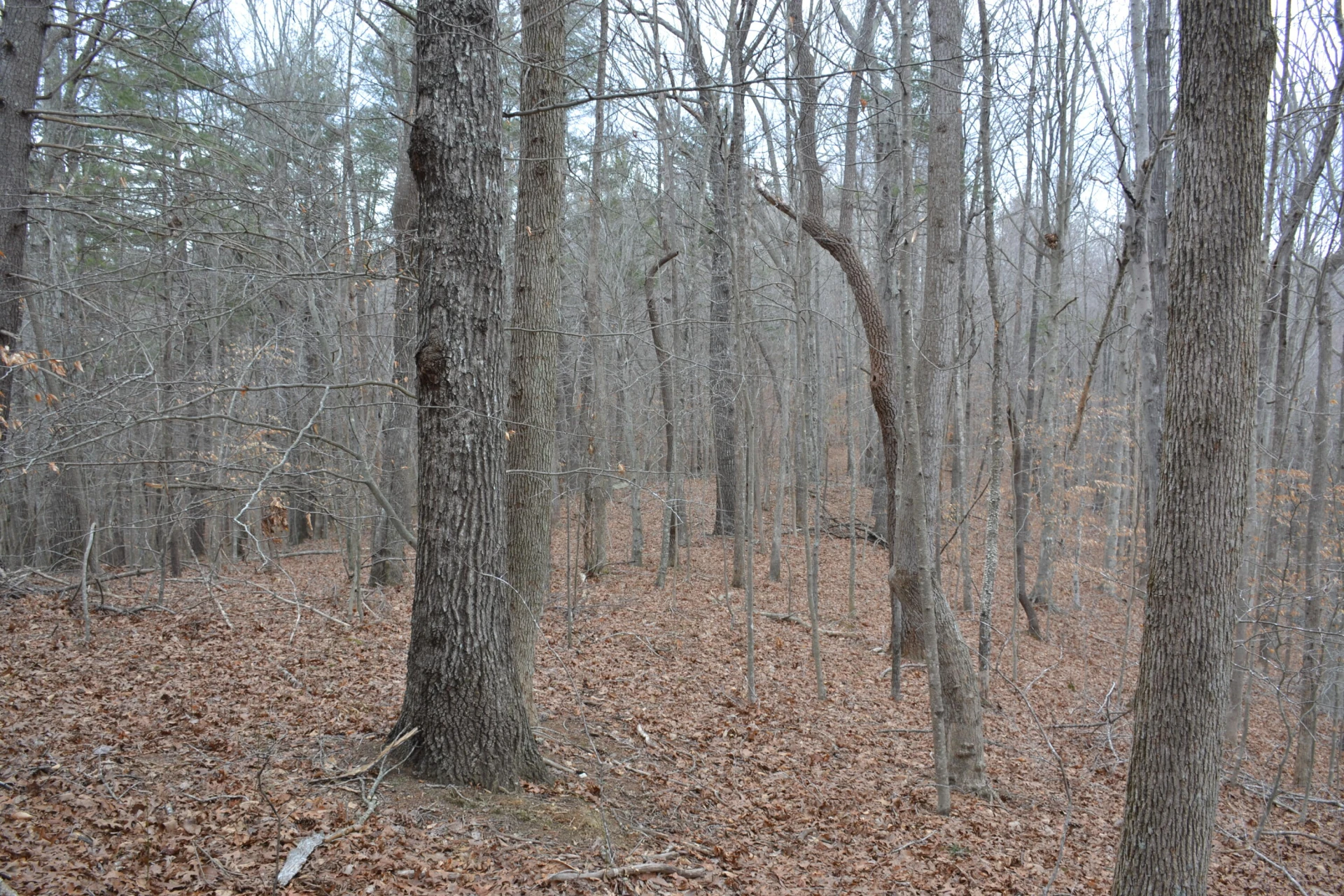 0 Carson DR - Photo 36