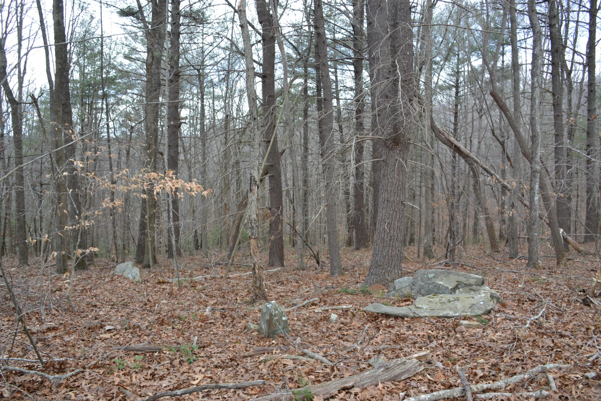 0 Carson DR - Photo 37