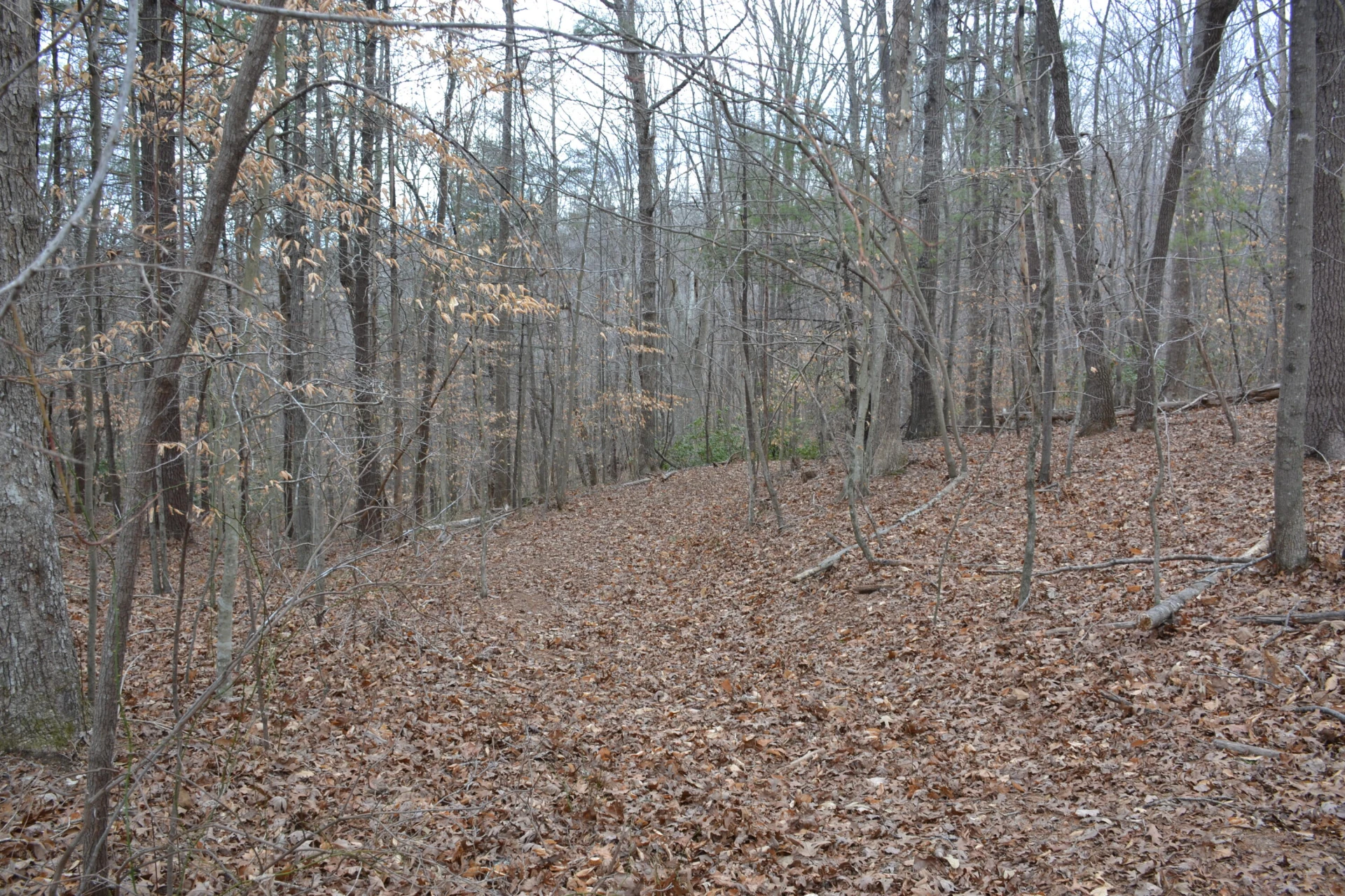 0 Carson DR - Photo 39