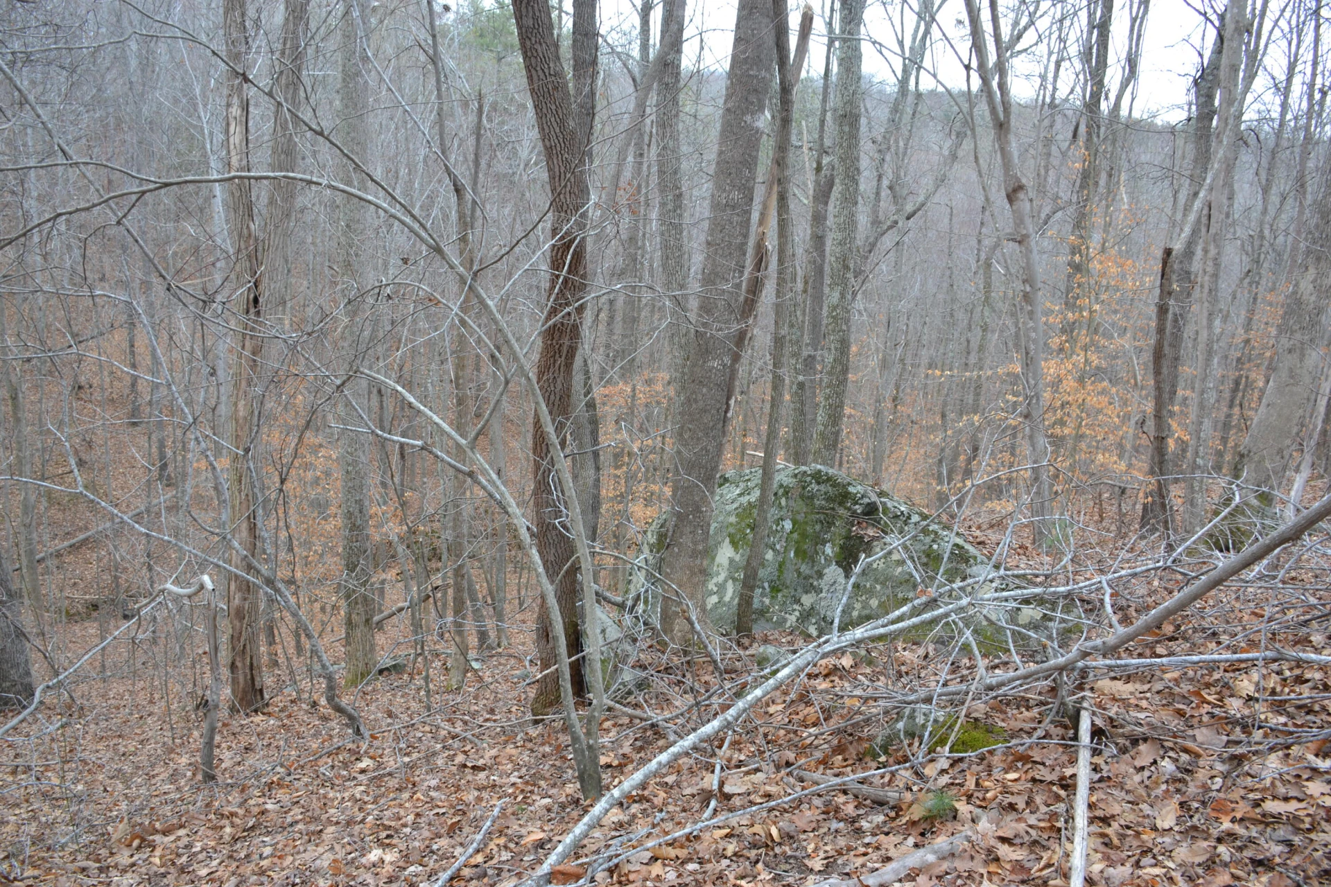 0 Carson DR - Photo 41