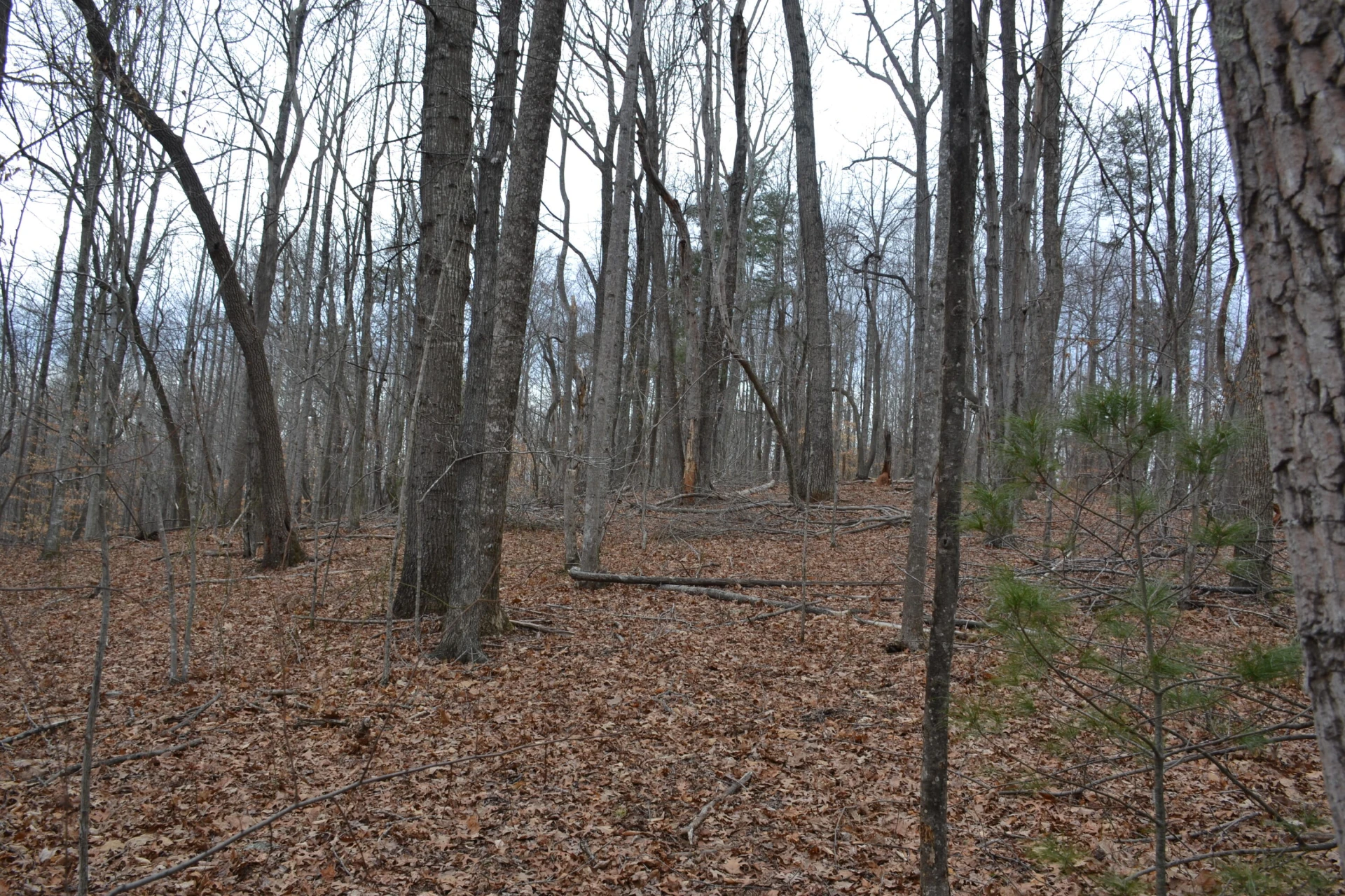 0 Carson DR - Photo 42
