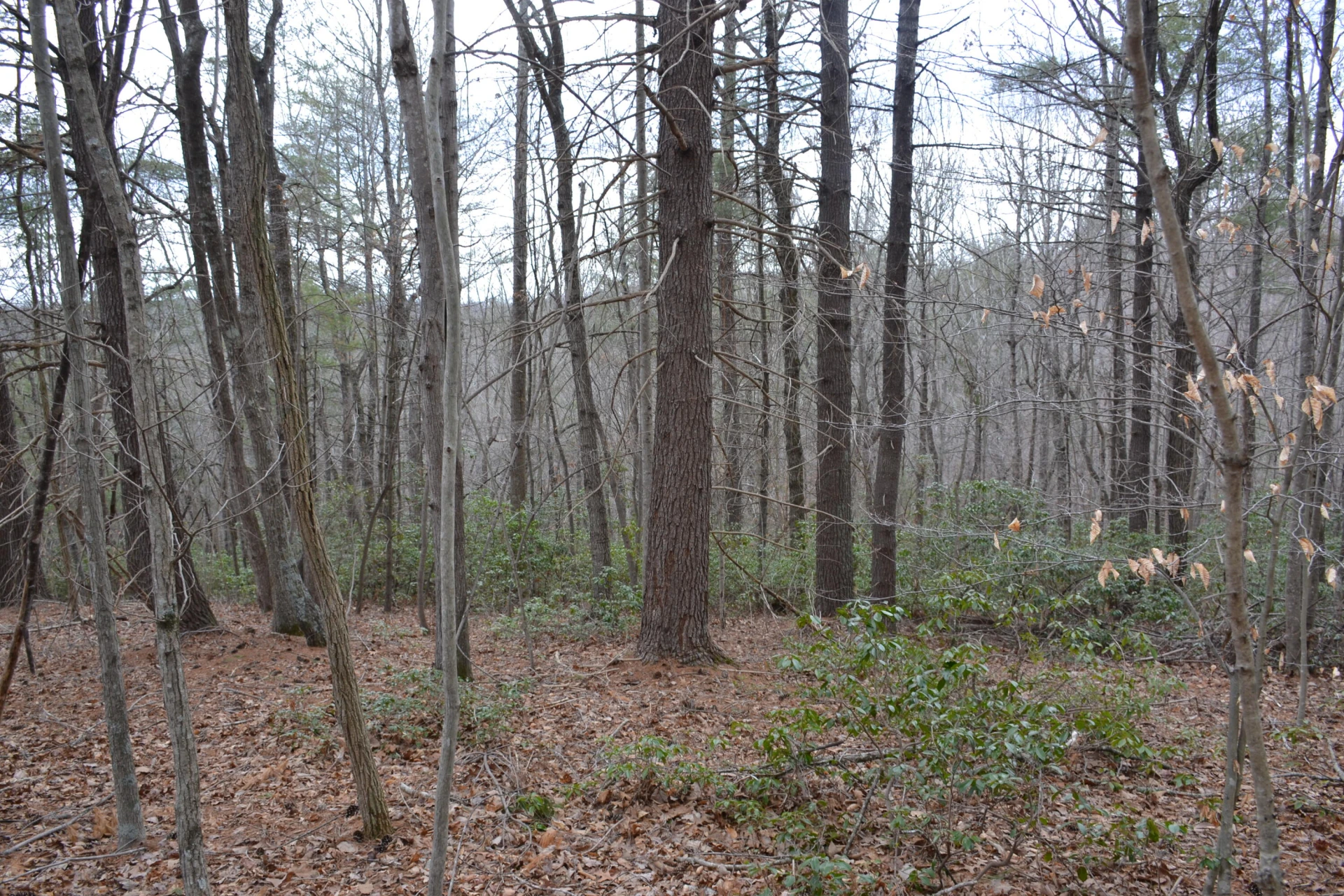 0 Carson DR - Photo 45