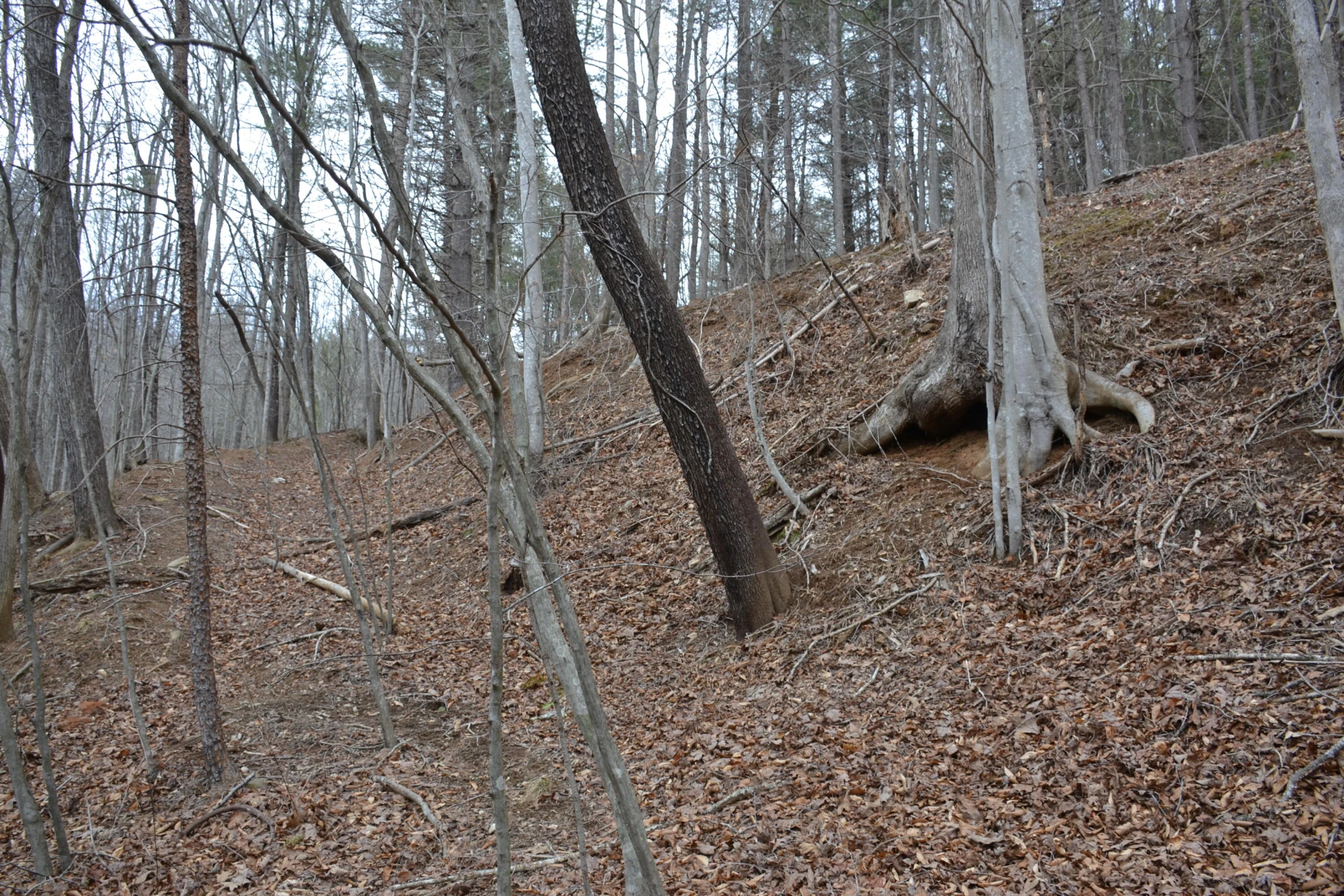 0 Carson DR - Photo 46