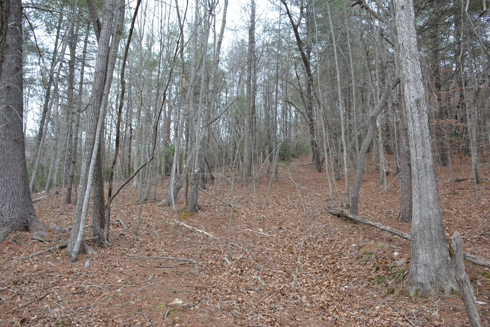 0 Carson DR - Photo 47