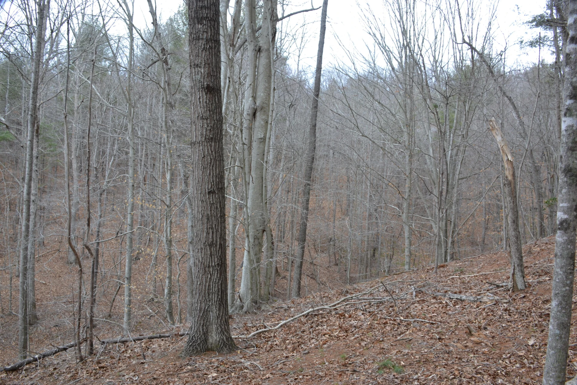 0 Carson DR - Photo 48