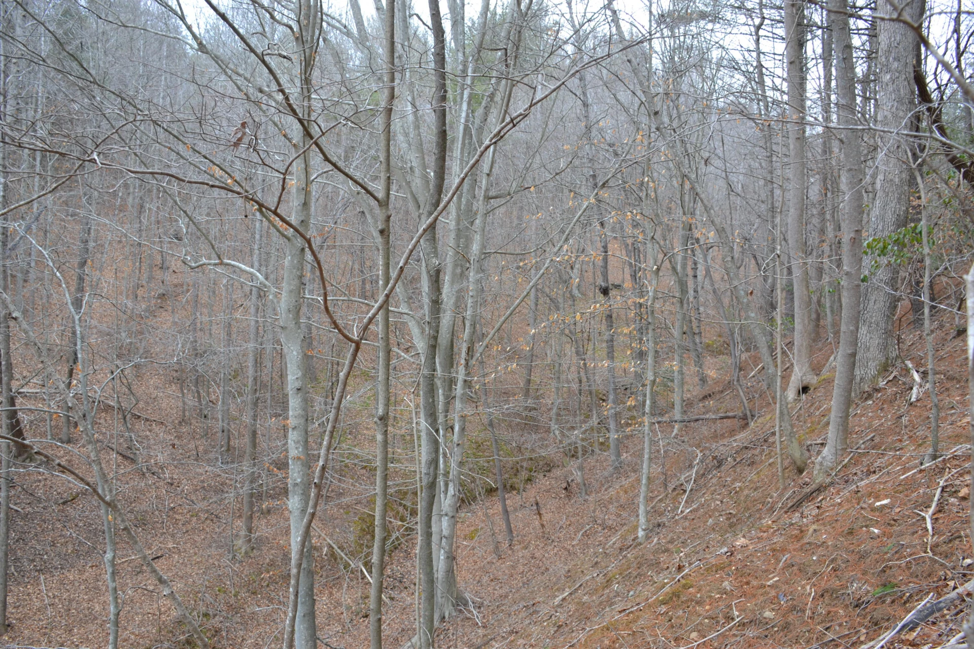 0 Carson DR - Photo 49