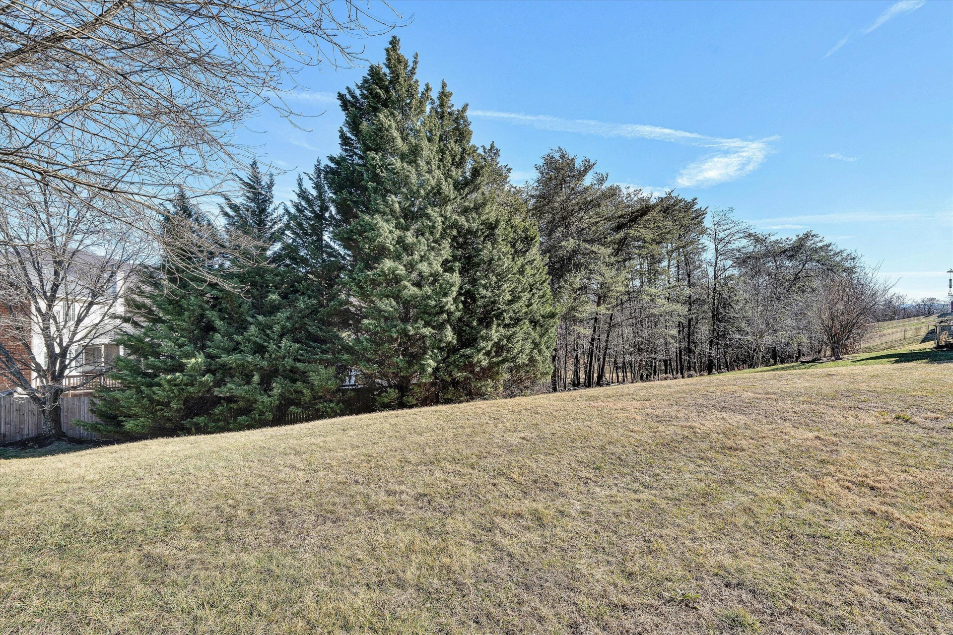 5018 Carter Grove LN - Photo 52
