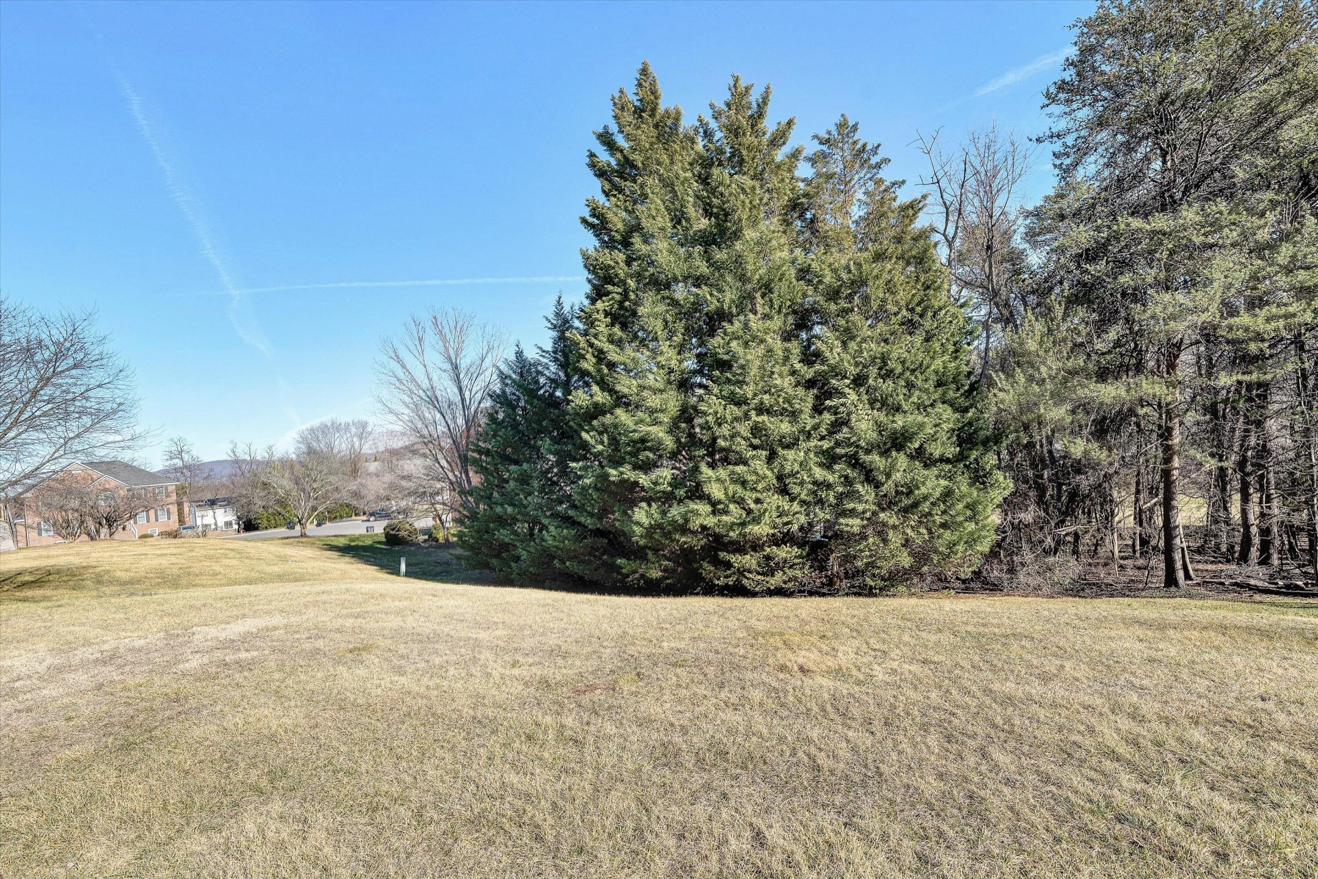5018 Carter Grove LN - Photo 53