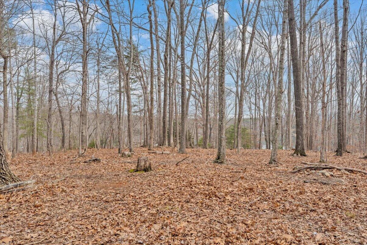 2768 Lake Retreat RD - Photo 83