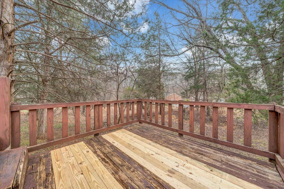 307 Forest Dale DR - Photo 41
