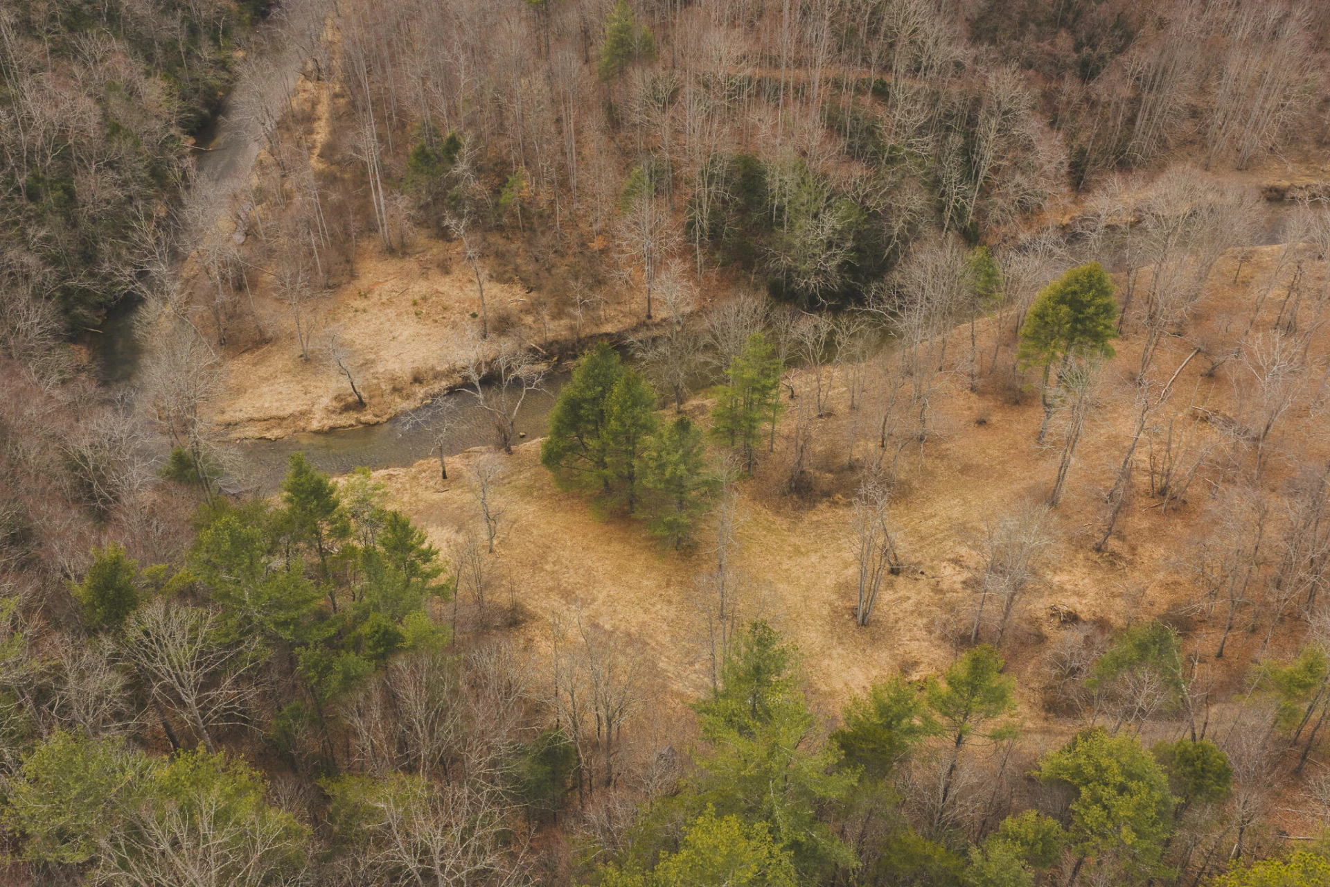TBD Peacock DR - Photo 12