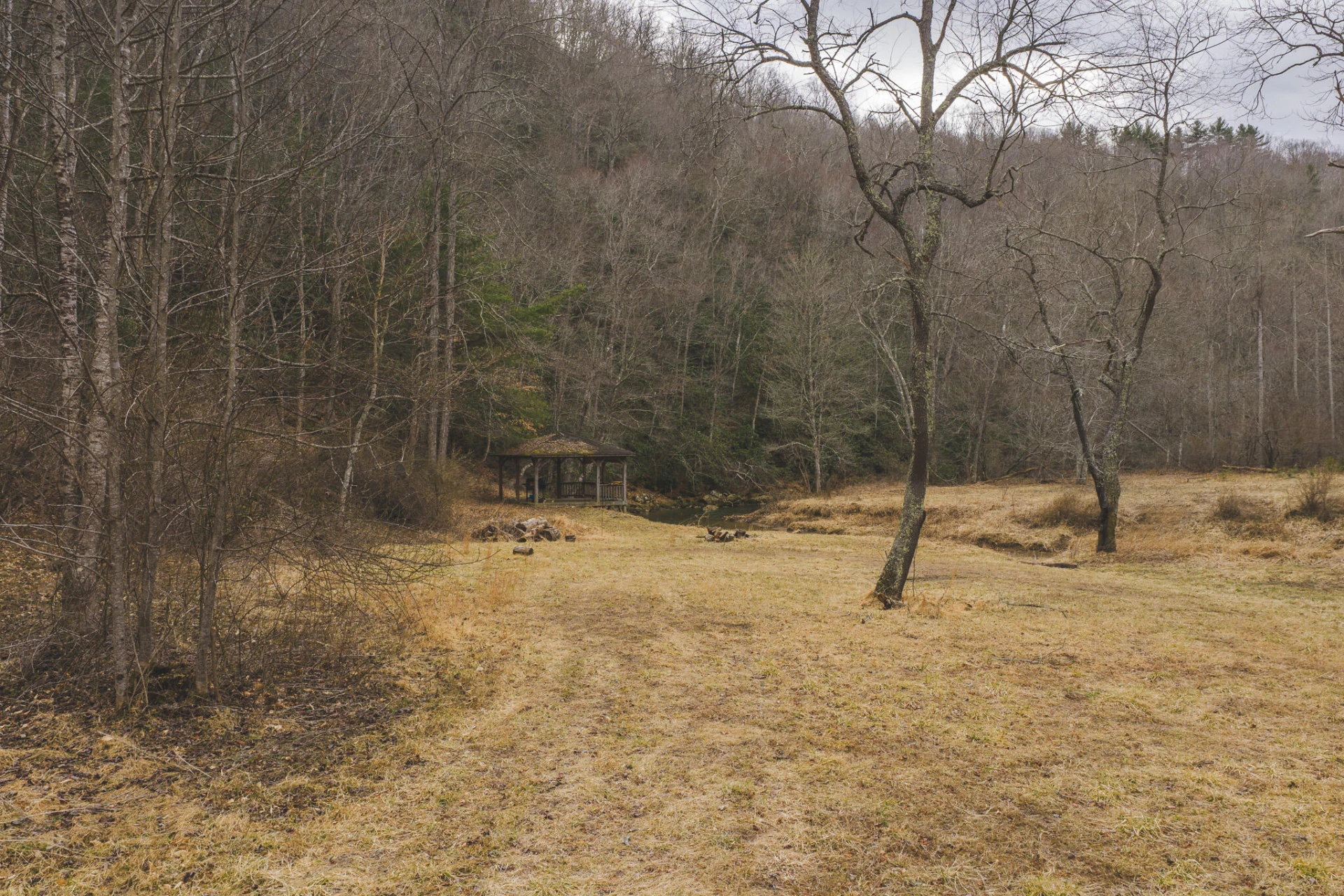 TBD Peacock DR - Photo 13