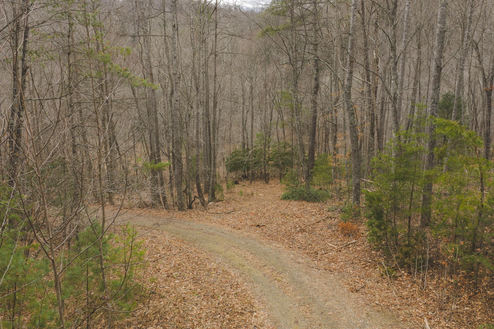 TBD Peacock DR - Photo 24