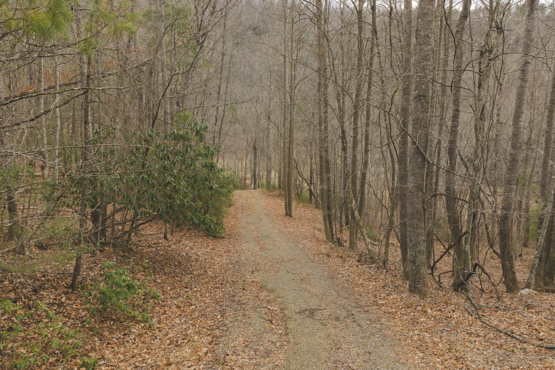 TBD Peacock DR - Photo 25