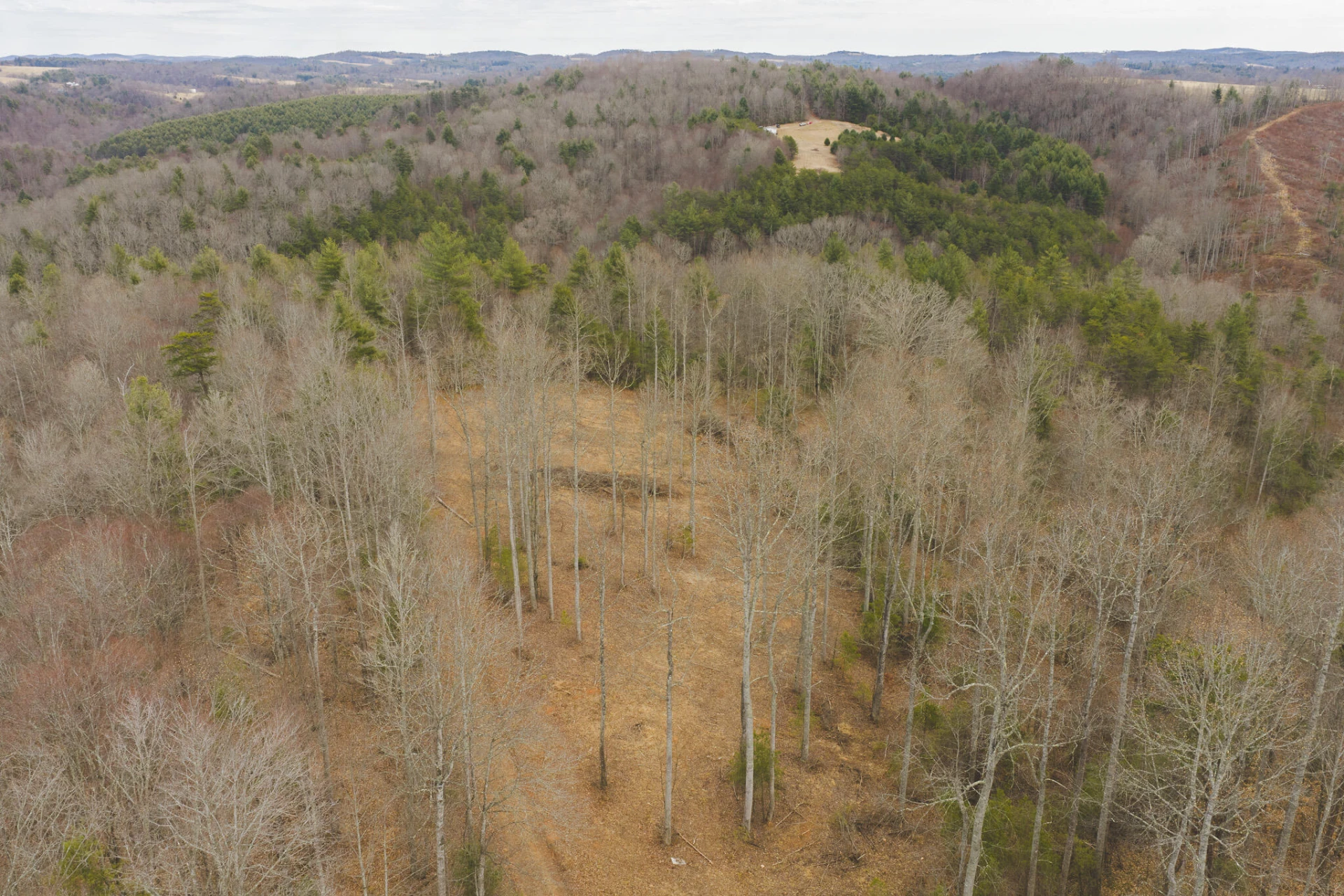 TBD Peacock DR - Photo 32