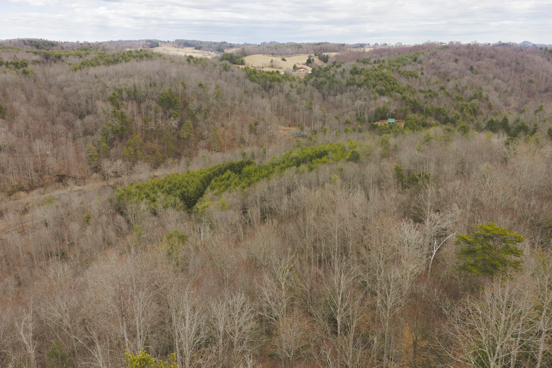 TBD Peacock DR - Photo 33
