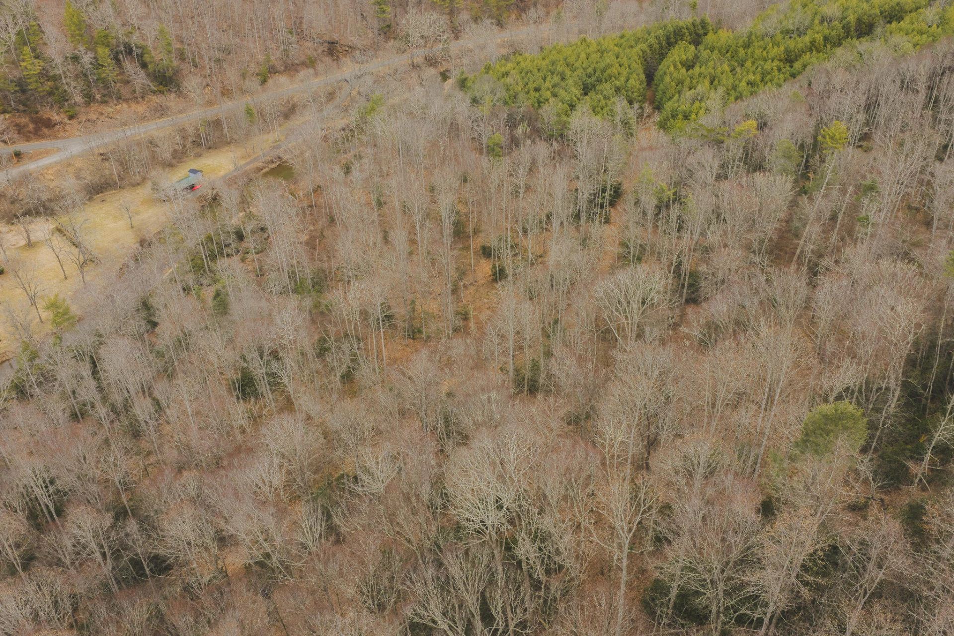 TBD Peacock DR - Photo 34