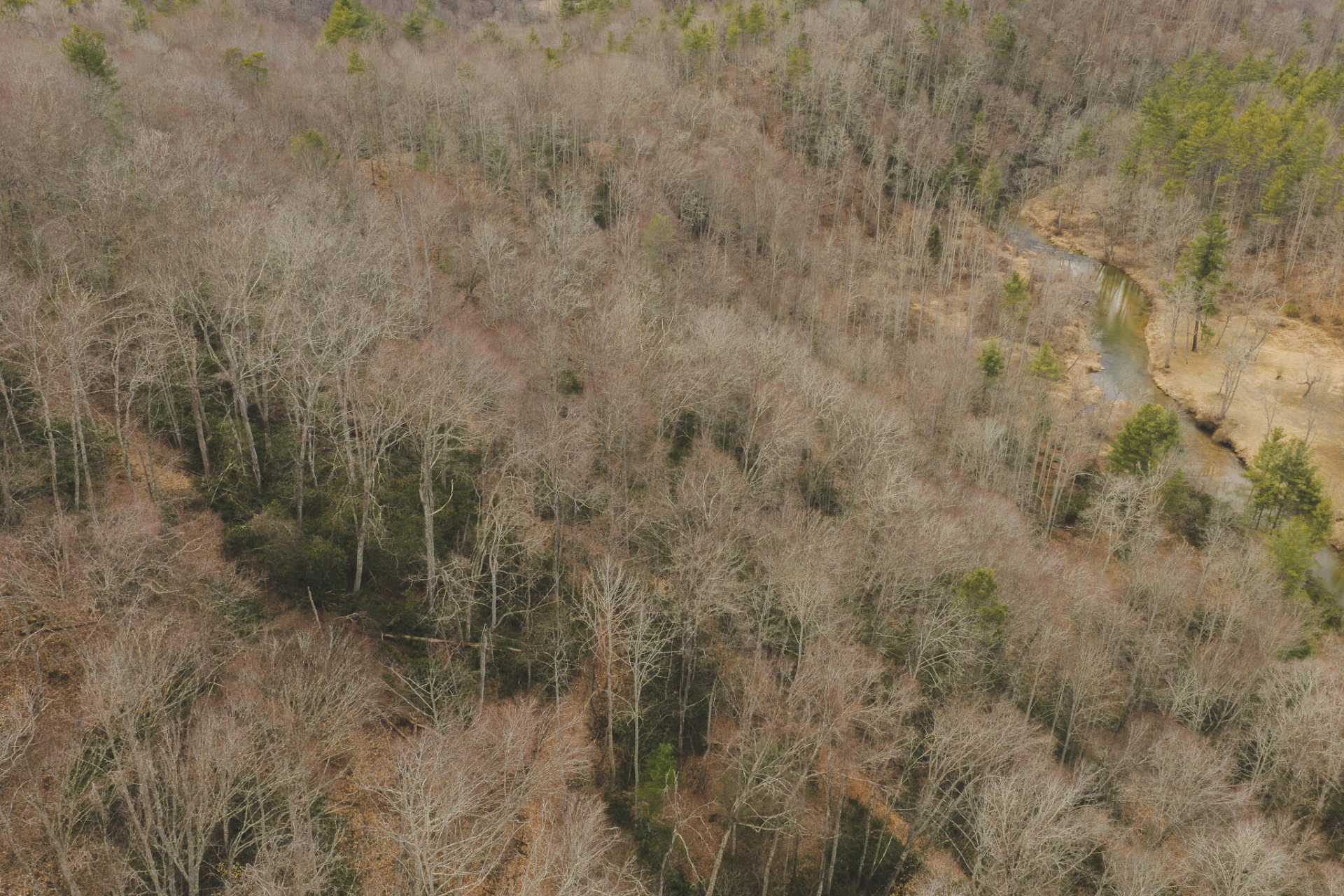 TBD Peacock DR - Photo 35