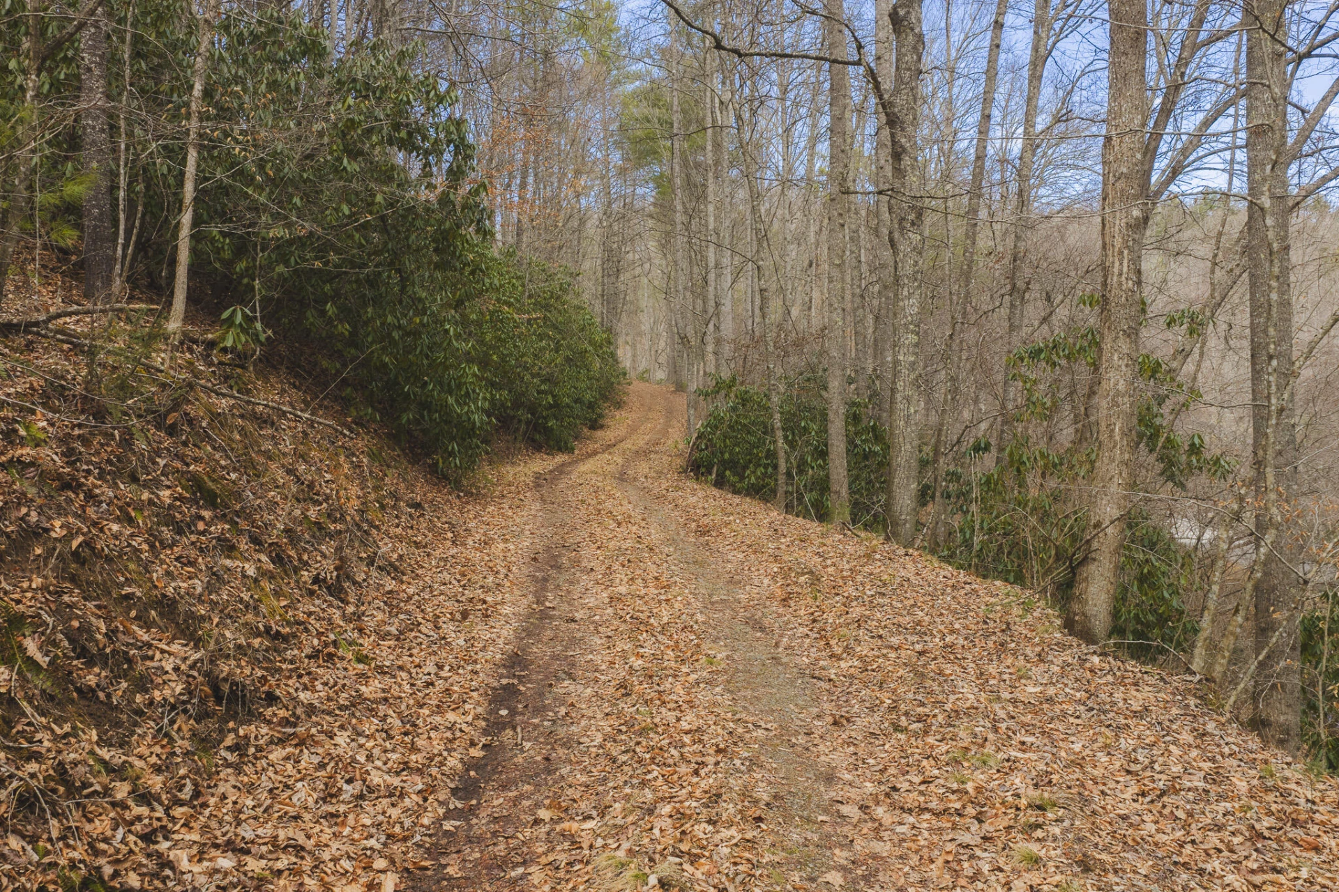 TBD Peacock DR - Photo 39