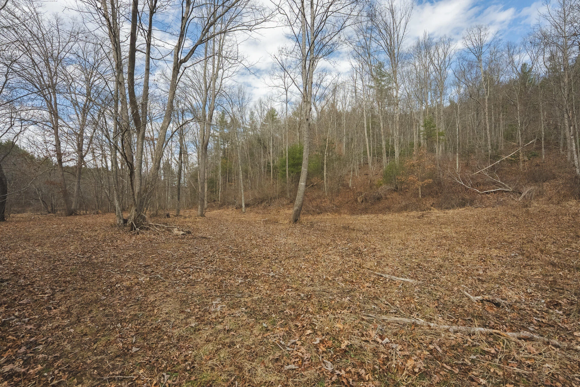 TBD Peacock DR - Photo 48