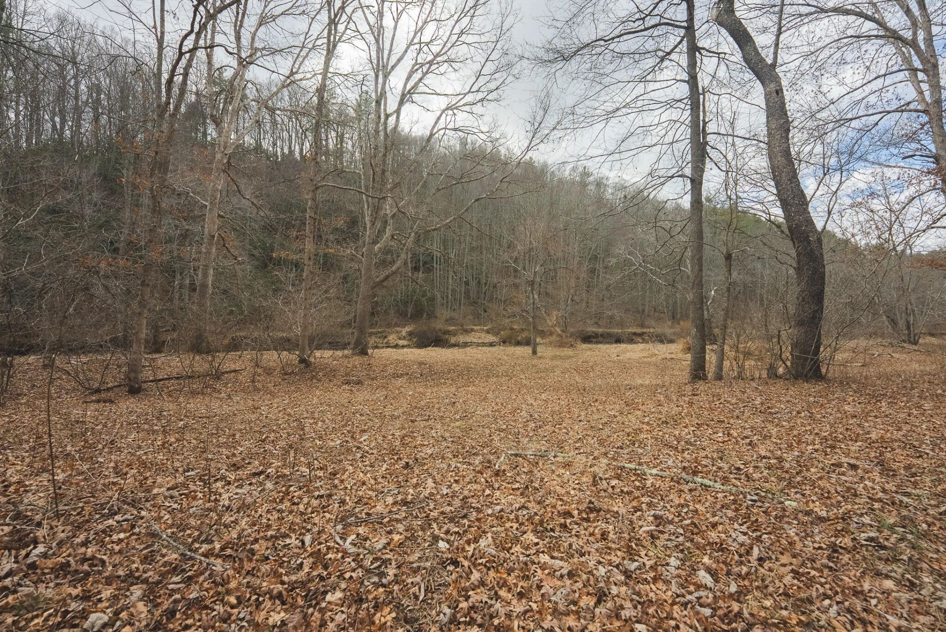 TBD Peacock DR - Photo 49