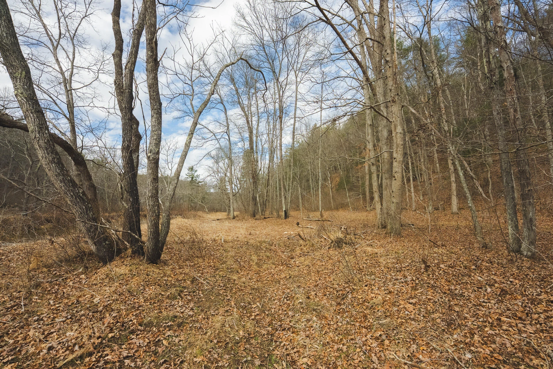 TBD Peacock DR - Photo 57