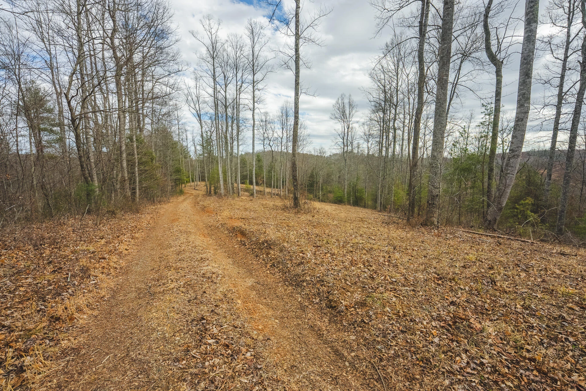 TBD Peacock DR - Photo 60