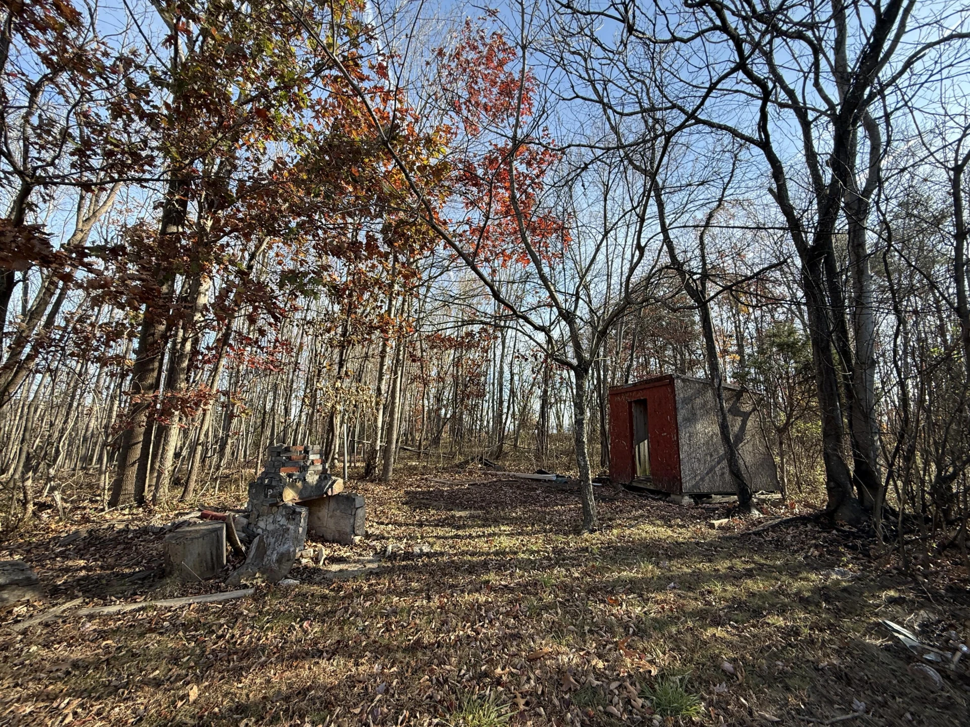7212 Wood Haven RD - Photo 39